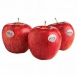 NZ Envy Apples